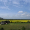 Thumbnail of related posts 113