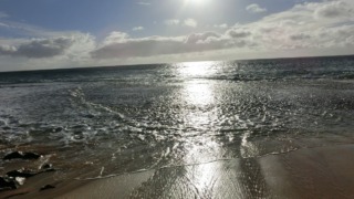 Thumbnail of post image 000