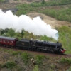 Thumbnail of related posts 145
