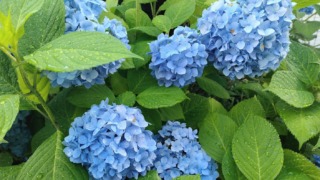 Thumbnail of post image 063