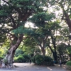 Thumbnail of related posts 146