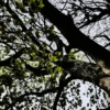 Thumbnail of related posts 081