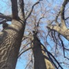 苦しい思いから抜け出せない自分と他人を比べても意味がない【私が自分を生きるまで⑳
