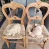 Thumbnail of related posts 178