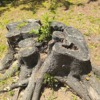 Thumbnail of related posts 120