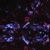 Thumbnail of related posts 110