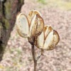 Thumbnail of related posts 079