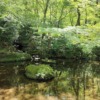 Thumbnail of related posts 176