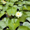 Thumbnail of related posts 199