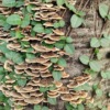 Thumbnail of related posts 091