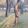 Thumbnail of related posts 076
