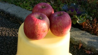 Thumbnail of post image 129