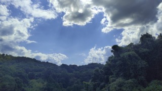 Thumbnail of post image 090