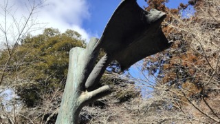 Thumbnail of post image 176