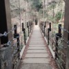 Thumbnail of new posts 074