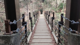 Thumbnail of post image 131