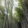 Thumbnail of new posts 000