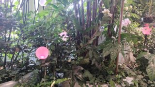 Thumbnail of post image 085