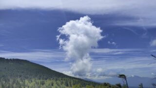 Thumbnail of post image 114