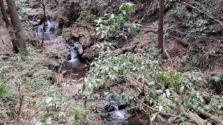 Thumbnail of post image 141