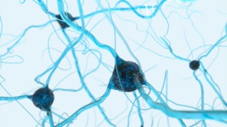 Thumbnail of post image 038